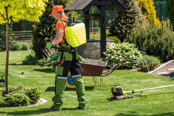 Outdoor Pest Control in Worth, IL